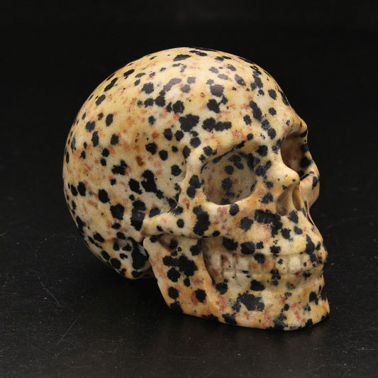 Buy your Earthy Dalamtian Jasper Crystal Skull online now or in store at Forever Gems in Franschhoek, South Africa