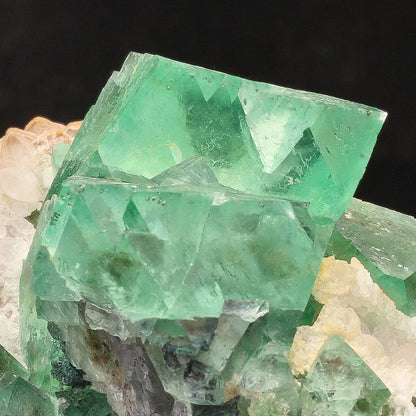 Buy your Fluorite Octahedra on Quartz (Riemvasmaak) online now or in store at Forever Gems in Franschhoek, South Africa