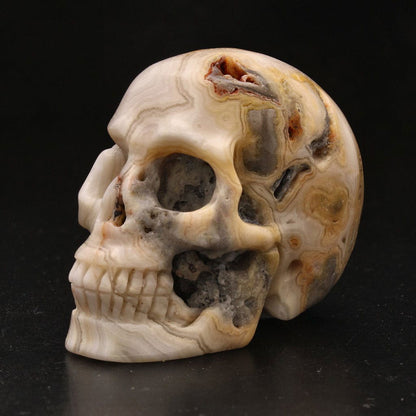 Buy your Joyful Sentinel Crazy Lace Agate Crystal Skull online now or in store at Forever Gems in Franschhoek, South Africa