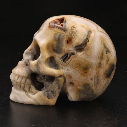 Buy your Joyful Sentinel Crazy Lace Agate Crystal Skull online now or in store at Forever Gems in Franschhoek, South Africa