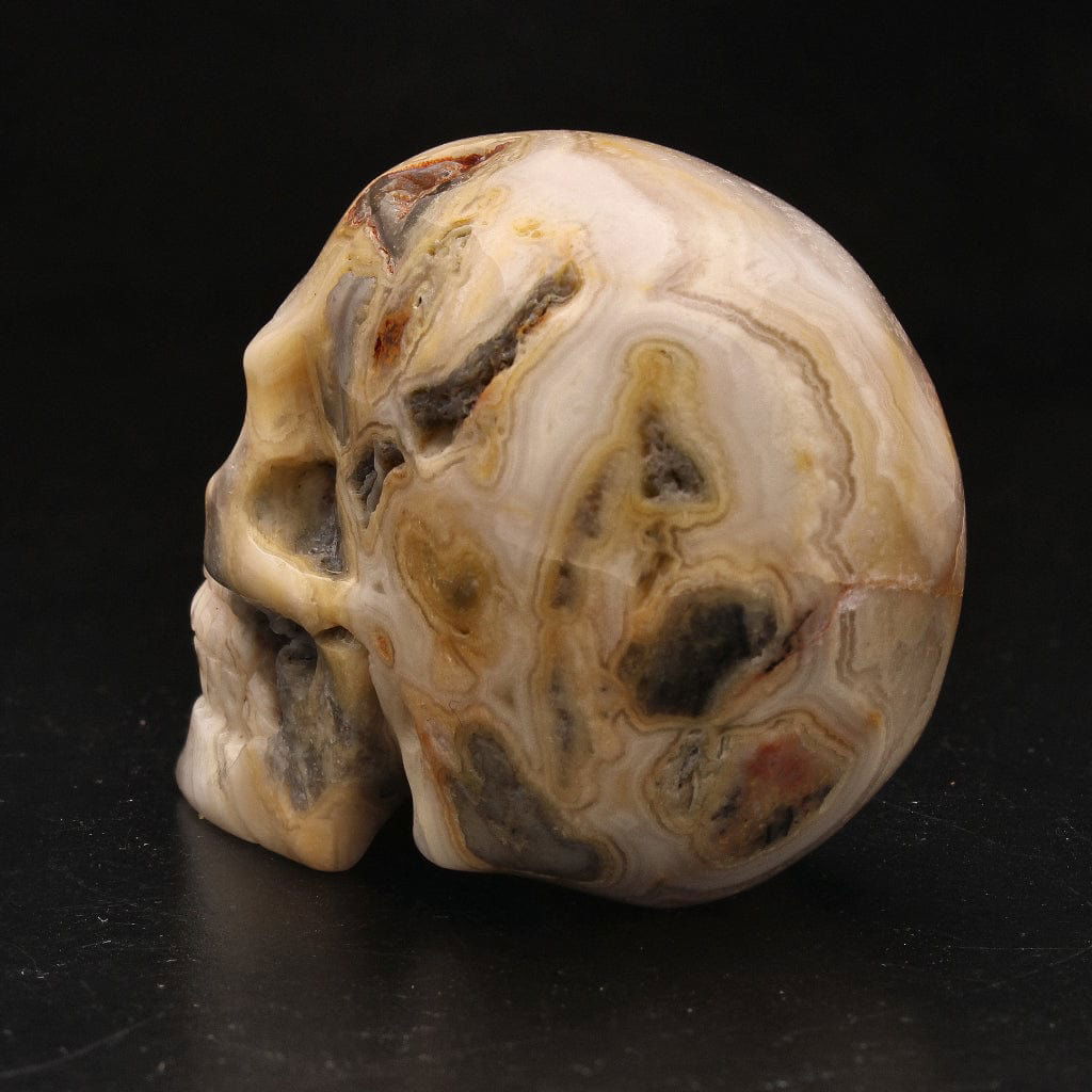 Buy your Joyful Sentinel Crazy Lace Agate Crystal Skull online now or in store at Forever Gems in Franschhoek, South Africa