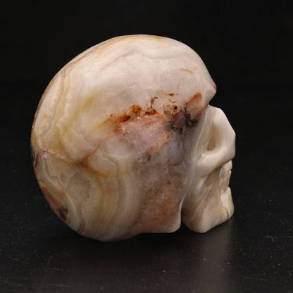 Buy your Joyful Sentinel Crazy Lace Agate Crystal Skull online now or in store at Forever Gems in Franschhoek, South Africa