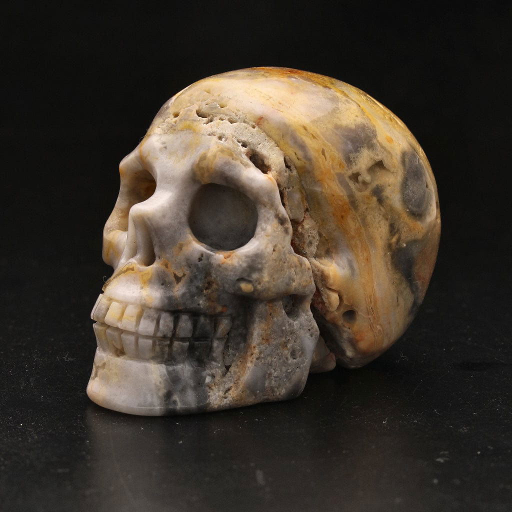 Buy your Joyful Sentinel Crazy Lace Agate Crystal Skull online now or in store at Forever Gems in Franschhoek, South Africa