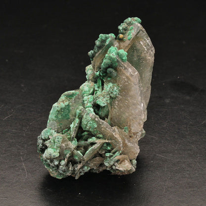 Buy your Miniature Size Baryte and Malachite online now or in store at Forever Gems in Franschhoek, South Africa