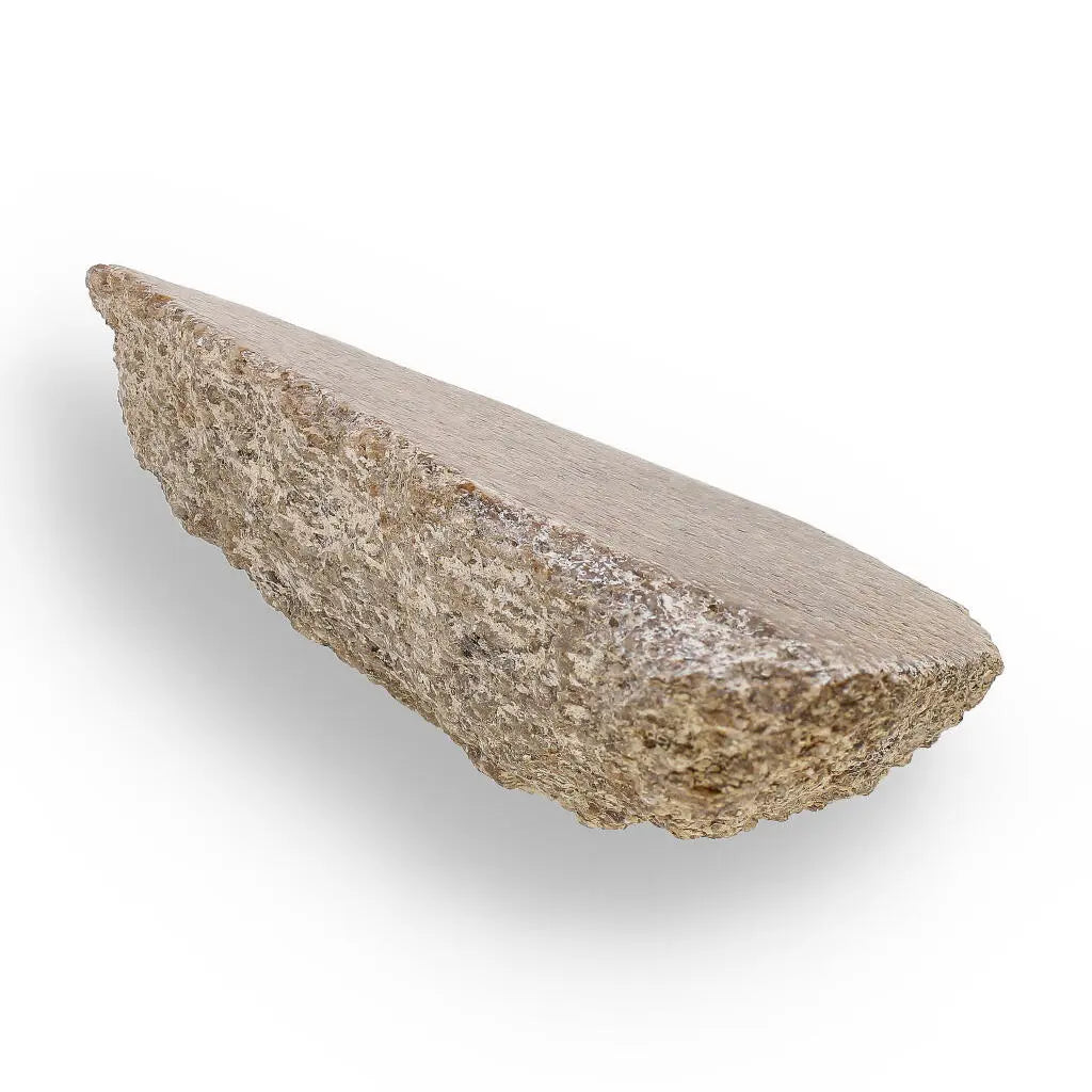 Buy your 160-Million-Year Dinosaur Bone Slice online now or in store at Forever Gems in Franschhoek, South Africa