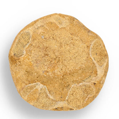 Buy your Fossilized Sand Dollar from Madagascar online now or in store at Forever Gems in Franschhoek, South Africa