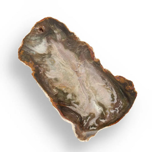 Buy your Petrified Wood: Madagascar's Natural Artwork online now or in store at Forever Gems in Franschhoek, South Africa