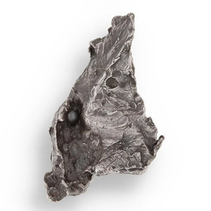 Buy your Sikhote-Alin Iron Meteorite Fragment online now or in store at Forever Gems in Franschhoek, South Africa