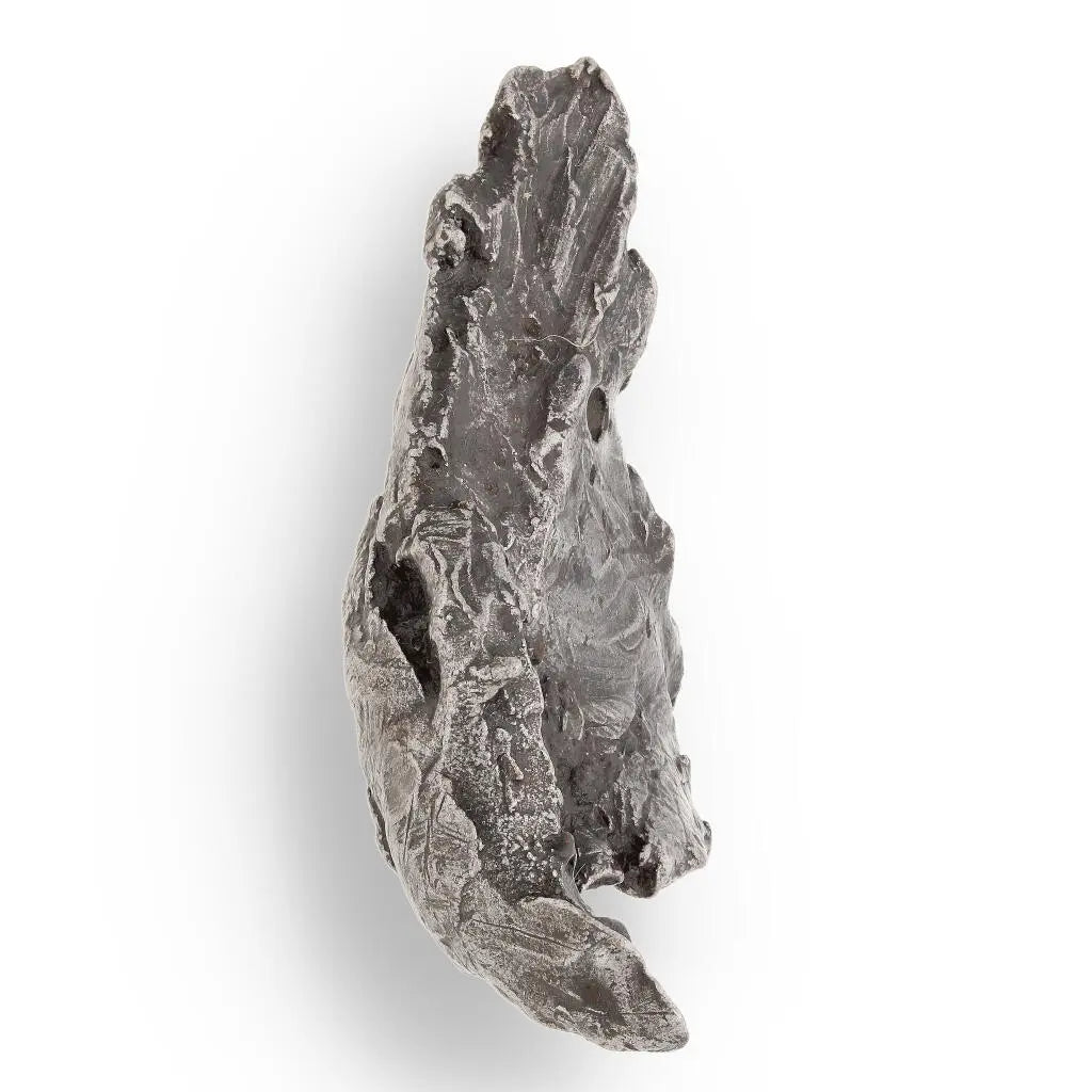 Buy your Sikhote-Alin Iron Meteorite Fragment online now or in store at Forever Gems in Franschhoek, South Africa