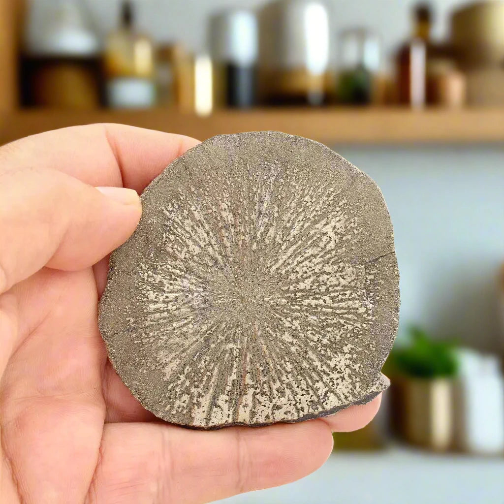 Pyrite Sun: Nature’s Unique Golden Disc