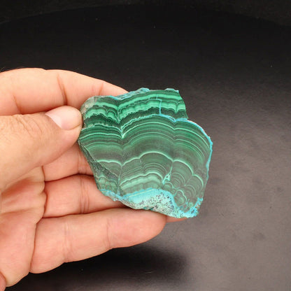 Buy your Banded Malachite Slice With Chrysocolla (Malacholla) online now or in store at Forever Gems in Franschhoek, South Africa