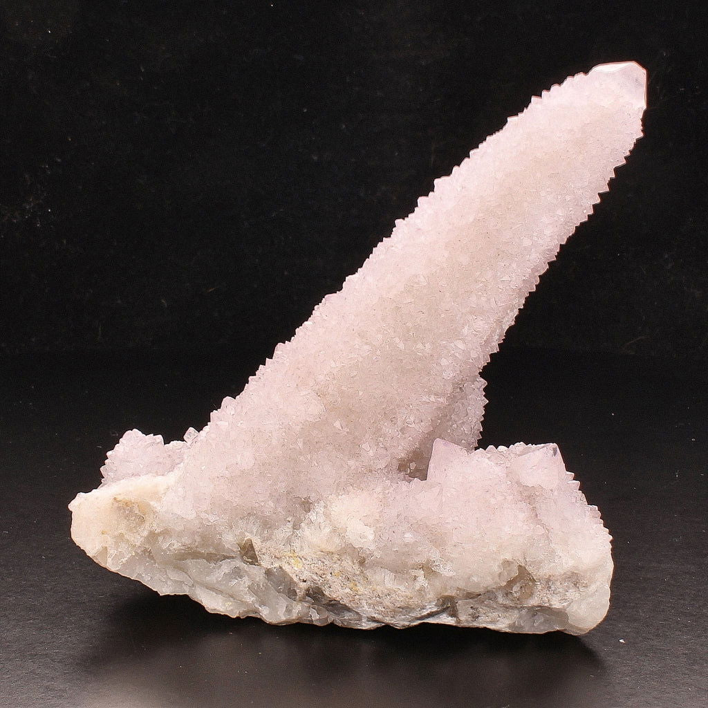 Buy your Cactus Quartz Point online now or in store at Forever Gems in Franschhoek, South Africa