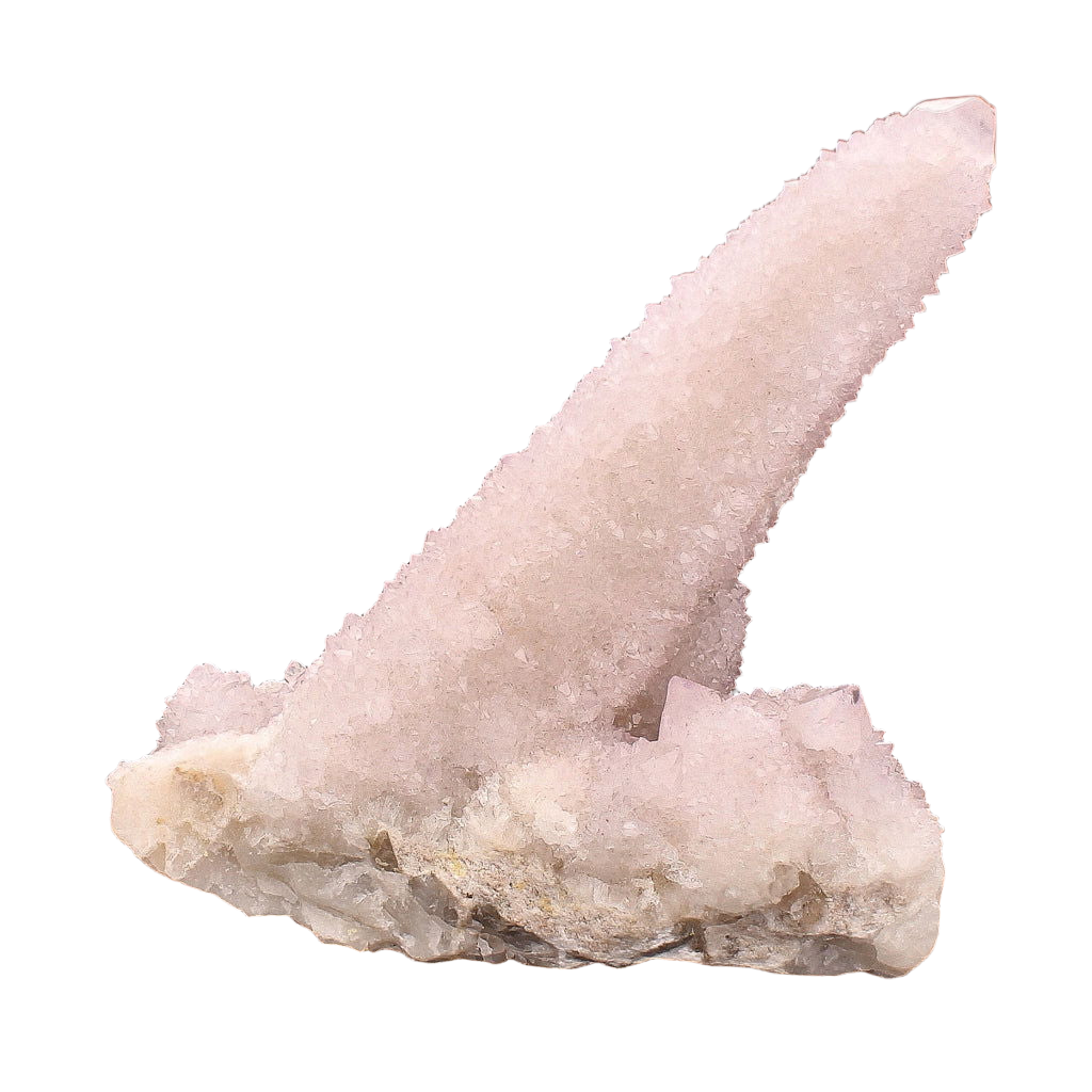 Buy your Cactus Quartz Point online now or in store at Forever Gems in Franschhoek, South Africa