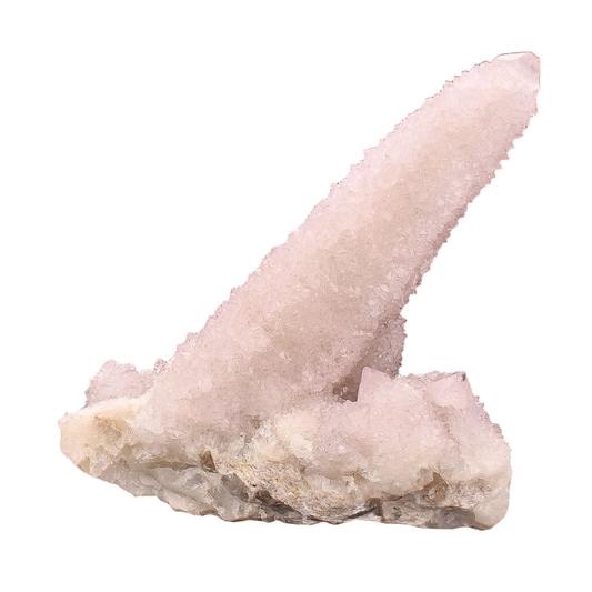 Buy your Cactus Quartz Point online now or in store at Forever Gems in Franschhoek, South Africa