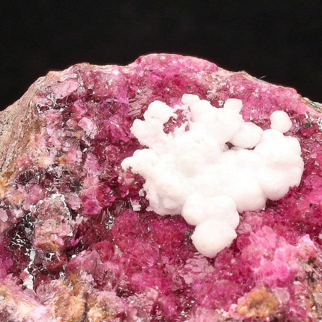 Buy your Cobaltoan Calcite on Matrix Specimen online now or in store at Forever Gems in Franschhoek, South Africa