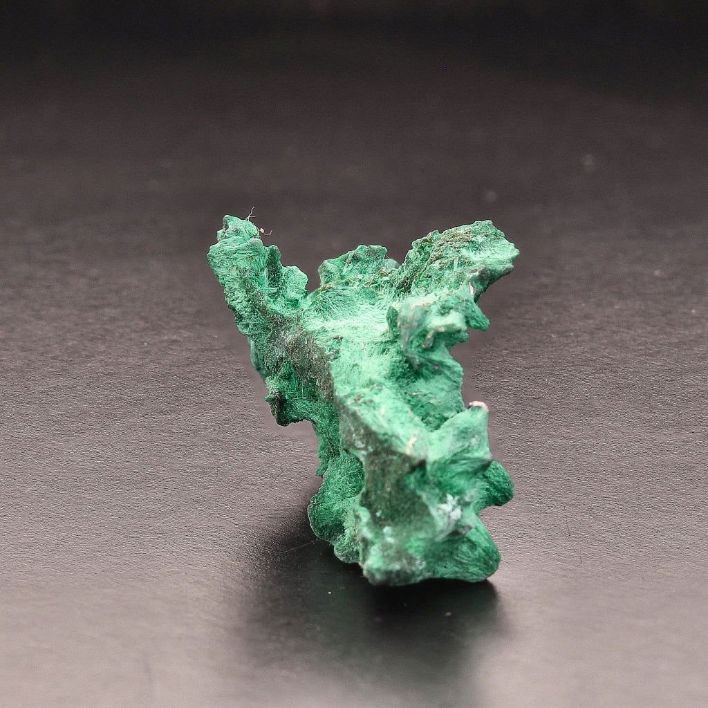 Buy your Fibrous Malachite - Congo Marvel online now or in store at Forever Gems in Franschhoek, South Africa