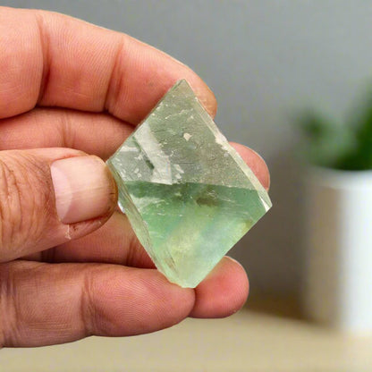 Buy your Green Fluorite Crystal Octahedron online now or in store at Forever Gems in Franschhoek, South Africa