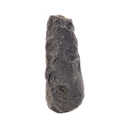 Buy your Unique Indochinite Tektite Find online now or in store at Forever Gems in Franschhoek, South Africa