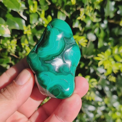 Polished Malachite: Congo's Mystical Green