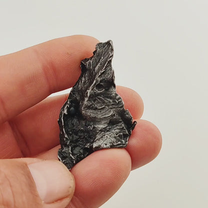 Sikhote-Alin Iron Meteorite Fragment