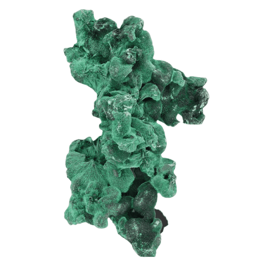 Buy your Silky Fibrous Malachite (Miringi Mine) online now or in store at Forever Gems in Franschhoek, South Africa