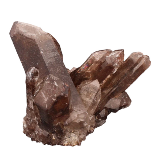 Buy your Smoky Quartz Cluster online now or in store at Forever Gems in Franschhoek, South Africa