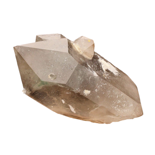 Buy your Smoky Quartz Double Terminated Crystal (Steinkopf) online now or in store at Forever Gems in Franschhoek, South Africa